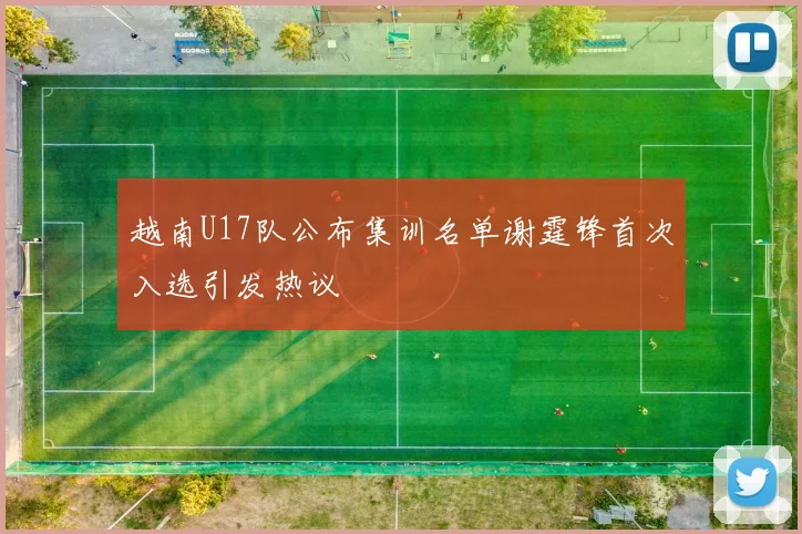 越南U17队公布集训名单谢霆锋首次入选引发热议